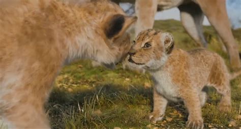 lion king tv tropes|The Lion King Trivia .